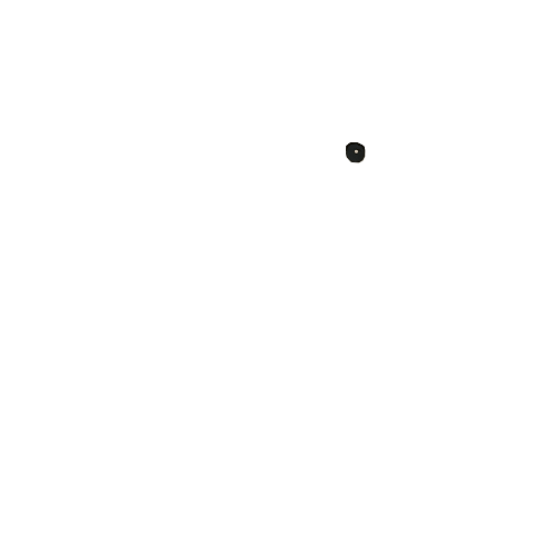 Right Eye